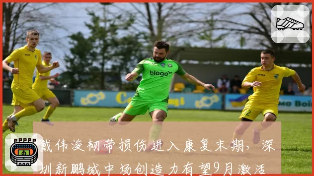 戴伟浚韧带损伤进入康复末期,深圳新鹏城中场创造力有望9月激活