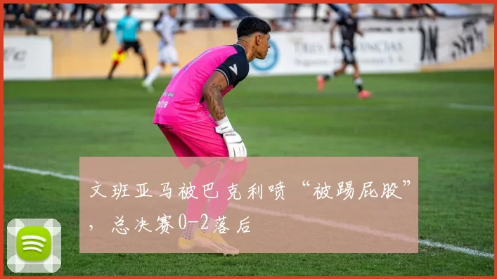 文班亚马被巴克利喷“被踢屁股”，总决赛0-2落后
