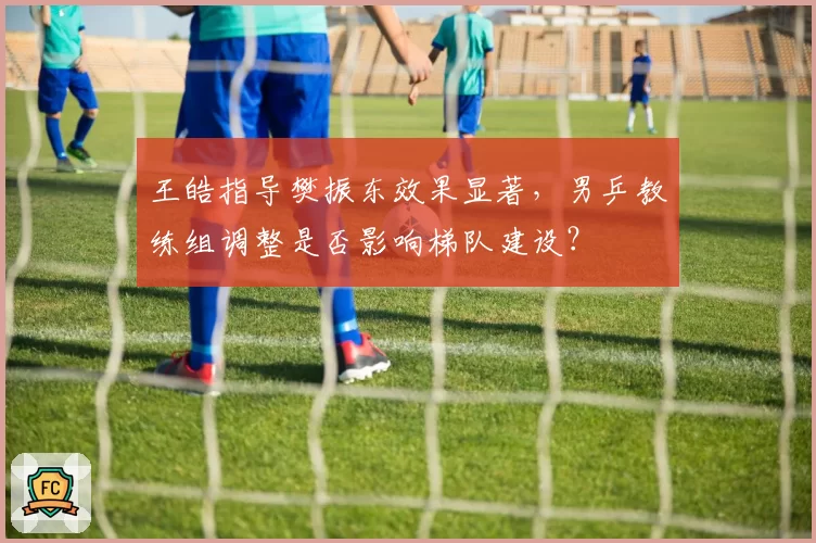 王皓指导樊振东效果显著，男乒教练组调整是否影响梯队建设？