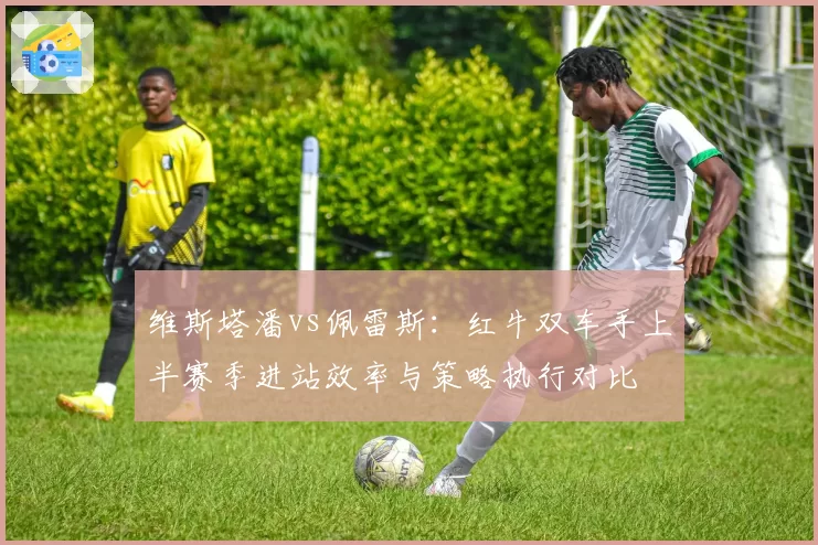 维斯塔潘vs佩雷斯:红牛双车手上半赛季进站效率与策略执行对比