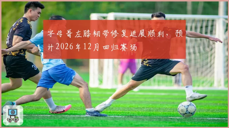 字母哥左膝韧带修复进展顺利，预计2026年12月回归赛场