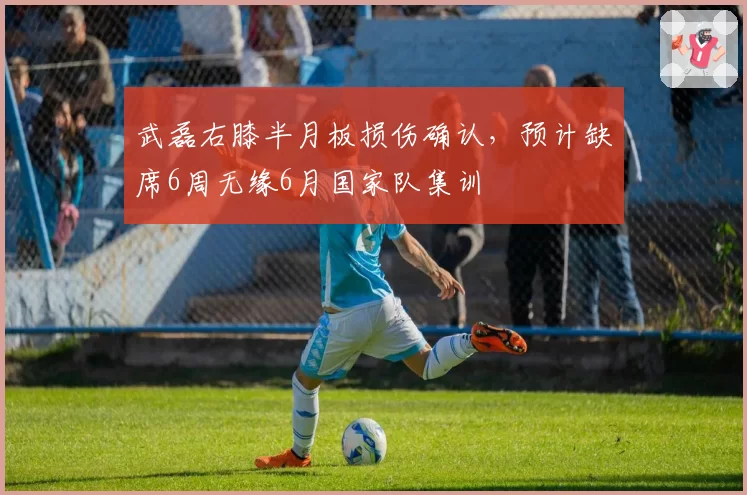 武磊右膝半月板损伤确认，预计缺席6周无缘6月国家队集训